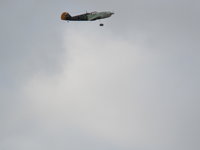 IMG_6296.JPG