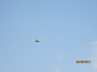 IMG_9334.JPG