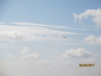 IMG_9335.JPG