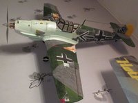 IMG_6299.JPG