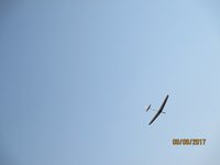 IMG_9378.JPG