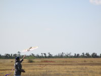 IMG_6402.JPG