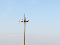 IMG_1097.JPG
