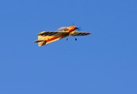 _DSC2476.JPG
