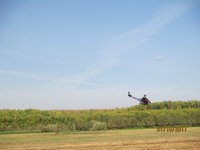 IMG_9710.JPG