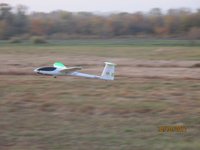 IMG_9915.JPG