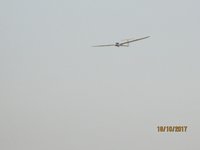 IMG_9906.JPG