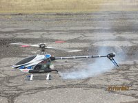 IMG_9940.JPG