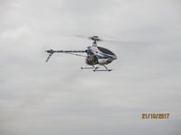 IMG_9955.JPG