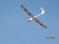 IMG_9995.JPG