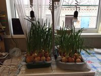 IMG_7600.JPG