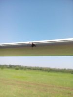 IMG-20190728-WA0000.jpg