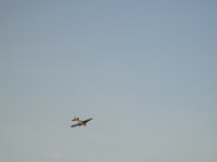 IMG_5633.JPG