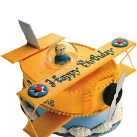 the-perfect-pilot-cake.jpg