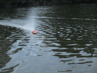 IMG_5703.JPG