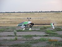 IMG_8902.JPG