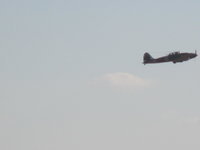 IMG_5835.JPG