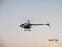 IMG_8965.JPG