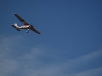 IMG_5955.JPG