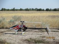 IMG_9181.JPG