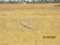 IMG_9172.JPG
