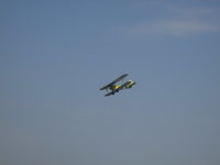 7416491.jpg