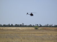 IMG_6243.JPG