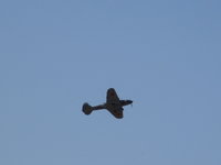 IMG_6237.JPG
